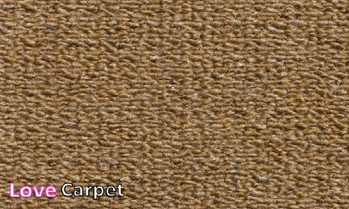Bracken in the Wool Berber range Bracken in the Wool Berber range