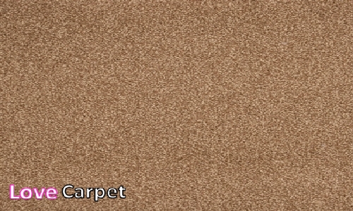 Mocha from the Universal Tones Carpet  range