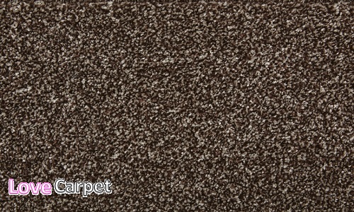 Conker in the Sumptuous range Conker in the Sumptuous range