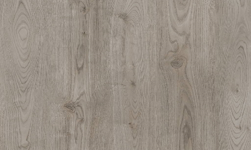 1009 Smoke Oak from the Holland Park Classical range