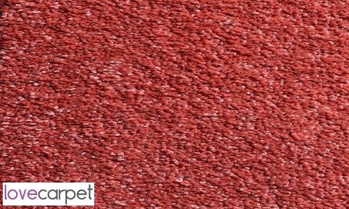Coral from the Carousel  range