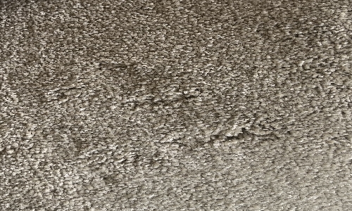 Dark Beige from the Easy Living Sumptuous range