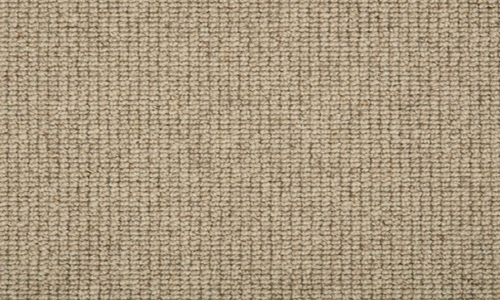 Rattan in the Shetland range